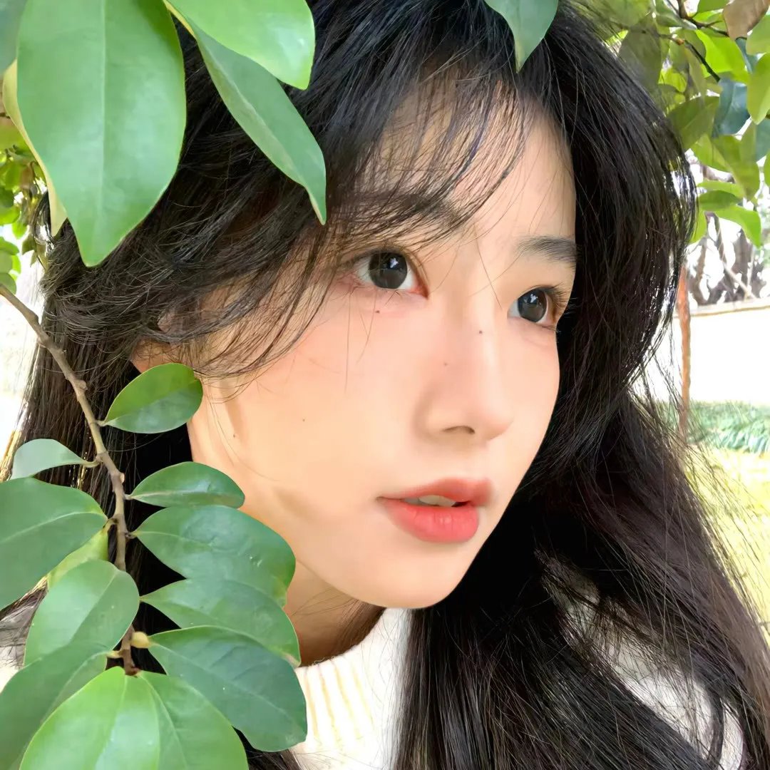 参照系