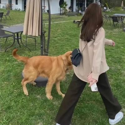 饿狼传说2